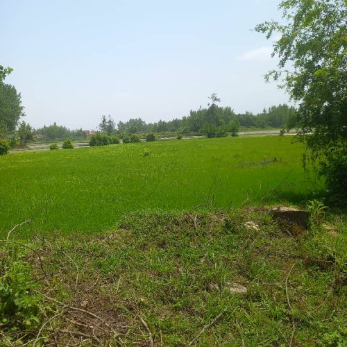 2824مترزمین داخل طرح هادی مناسب کوچصفهان