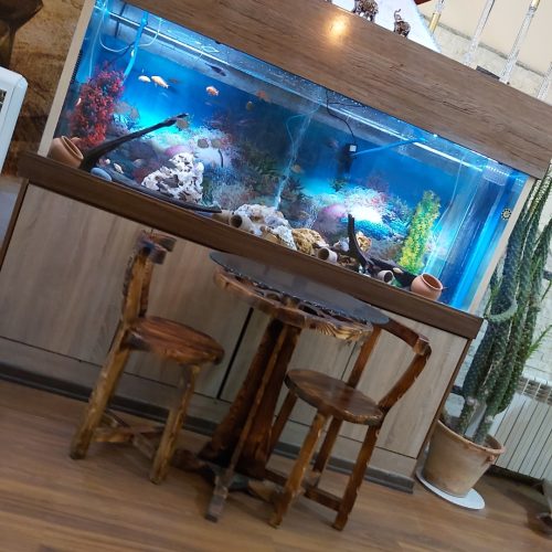 اکوارم اب شور