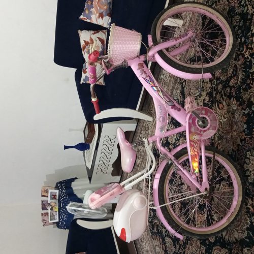 دورچرخه صورتی در حد نو