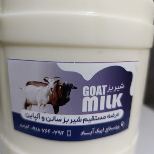 شیر بز سانن وآلپاین