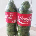 برگ انگور