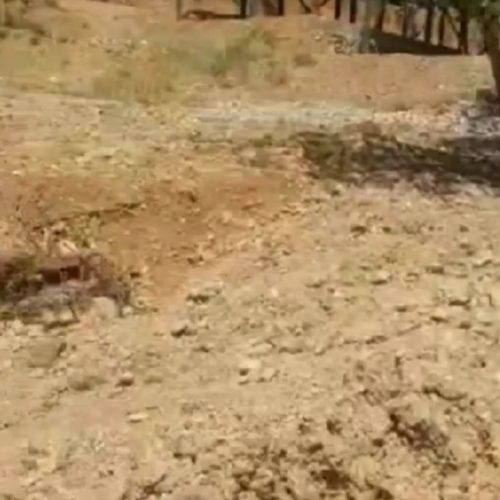 فروش فوری به دلیل مهاجرت زمین 1100متری در آبعلی جهت ساخت و ساز