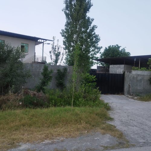 فروش دامداری با تجهیزات کامل