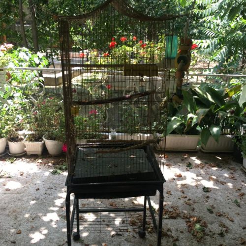 قفس کاسکویی با اسباب بازی و تجهیزات