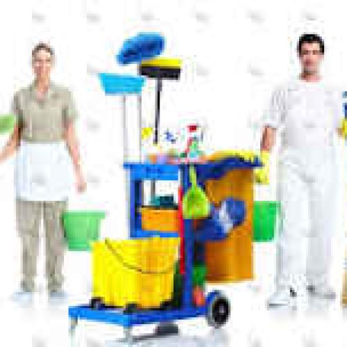 دفتر خدماتی نظافتچی سرسبز