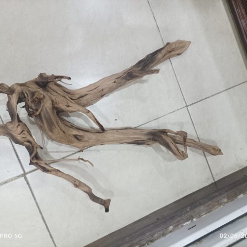 اکواریوم با لوازم