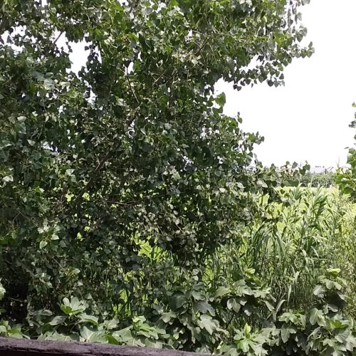 فروش منزل مسکونی