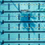 آموزش شنای زنجان