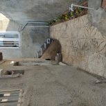 خانه شصت متر و نیم، دو بر تجاری