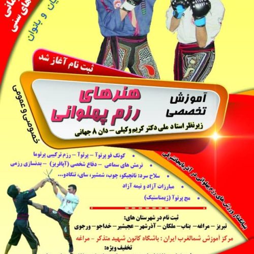 آموزش تخصصی ورزش های رزم پهلوانی