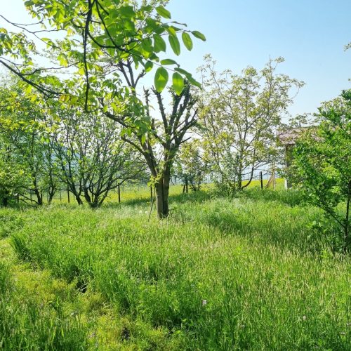 فروش زمین داخل طرح هادی