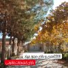 باغ ویلا 2200متری فروش نقدی یا تهاتر با آپارتمان و….