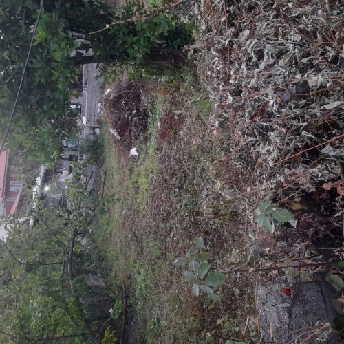 زمینی با مساحت 142  به فروش میرسد