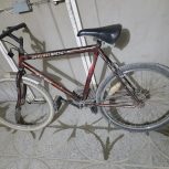 دوچرخه فروشی سالم