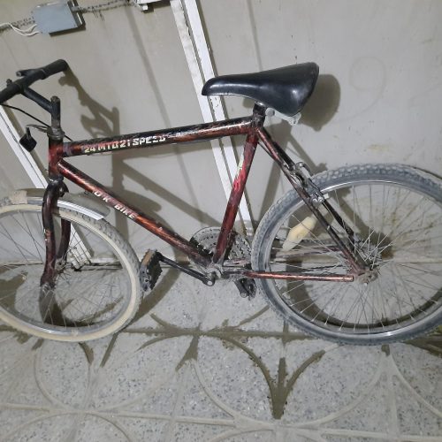 دوچرخه فروشی سالم