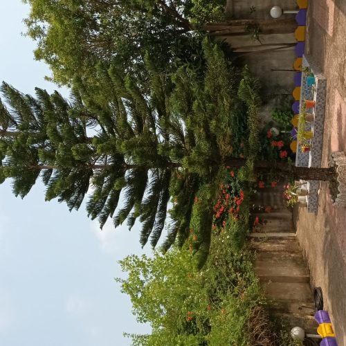 ویلا  در کترا