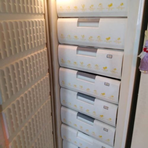 ارج ده کشویی دو قلو