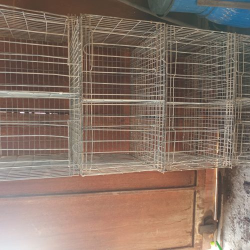 جفت کن کبوتر