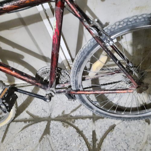 دوچرخه فروشی سالم