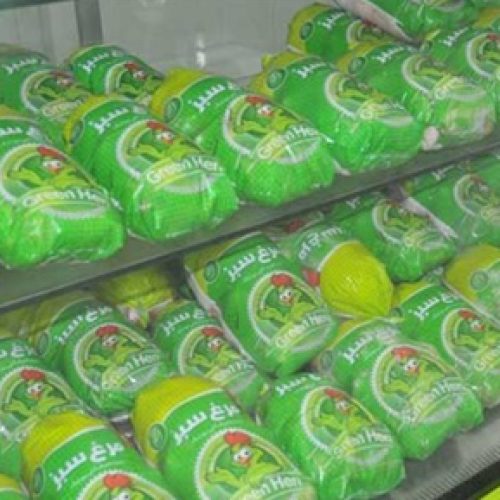 پخش مرغ شمال:عسگری