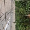 اجاره گلخانه صنعتی