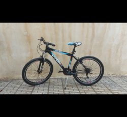 دوچرخه ویوا تنه اصلی