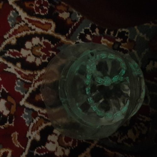 گوهر شب چراغ اصل