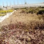 زمین 400 متری در سمسکنده