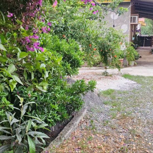 ویلا 150متری تک خواب با باغ 500متری زیبا