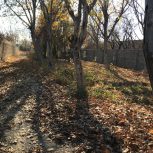 باغچه ملارد