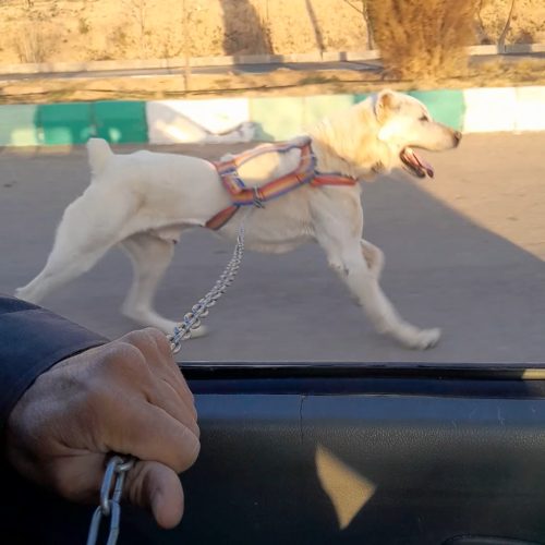 با سلام قصد فروش ندارم فقط معاوضه