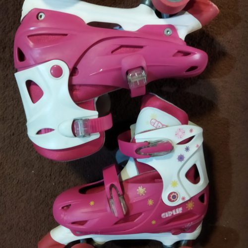 فروش کفش چرخ دار و لوازم جانبی آن