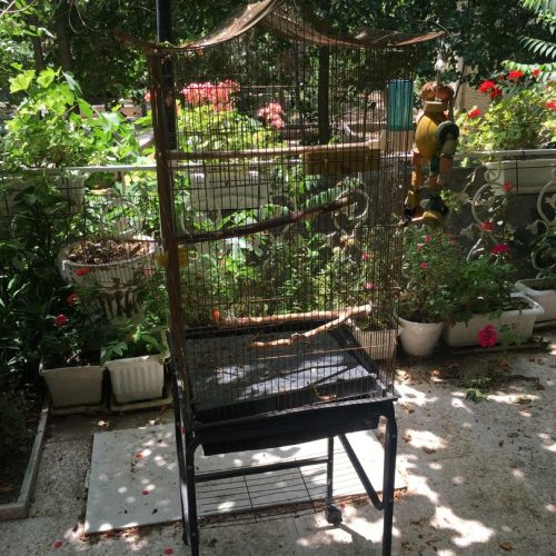 قفس کاسکویی با اسباب بازی و تجهیزات