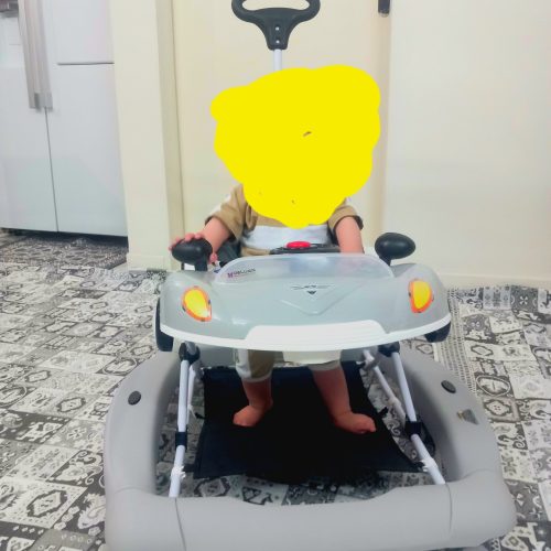 سلام یک عدد روروئک دلیجان