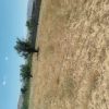 زمین کشاورزی بر جاده دارای برق و گاز بالای سر