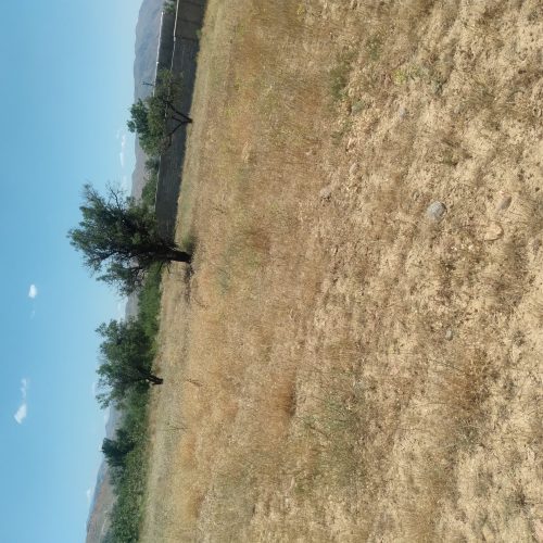 زمین کشاورزی بر جاده دارای برق و گاز بالای سر