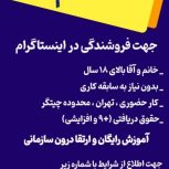 مجموعه فرانت