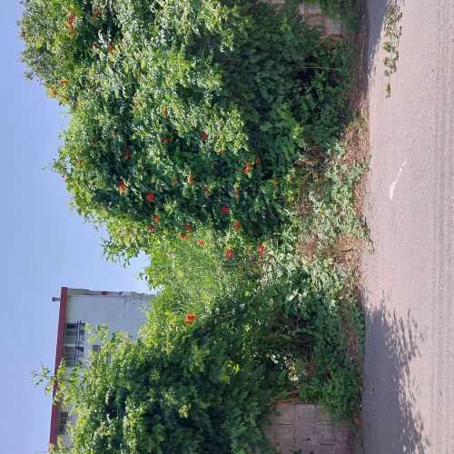 مشارکت درساخت