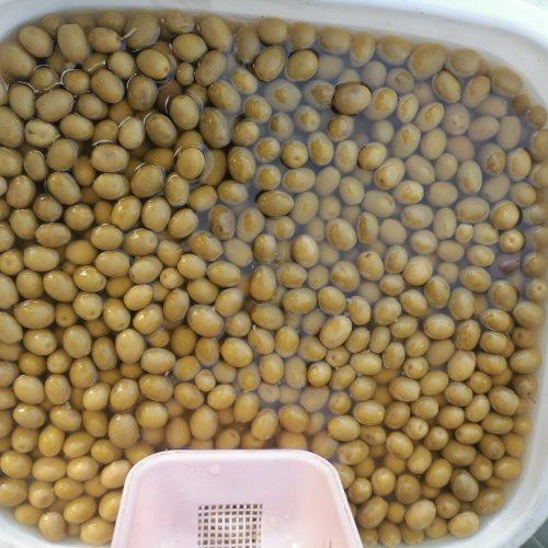 فروش انواع زیتون رودبار