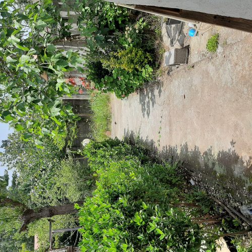 خانه باغ 410 متر پیربازار