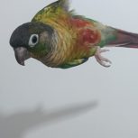 گرینچیک بازیگوش وسخنگو و دستی  ق