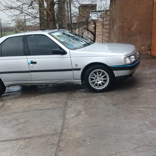 405 مدل 91 دوگانه شرکت