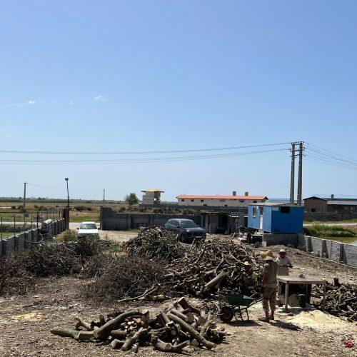 تولید و پخش انواع ذغال با بهترین کیفیت