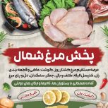 پخش مرغ شمال:عسگری