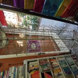 رگال و قفسه ایستاده