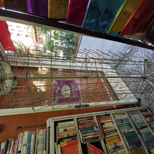 رگال و قفسه ایستاده