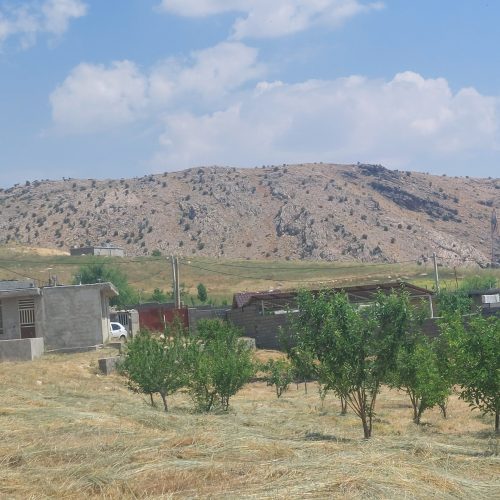 یک قطعه باغ ثمری