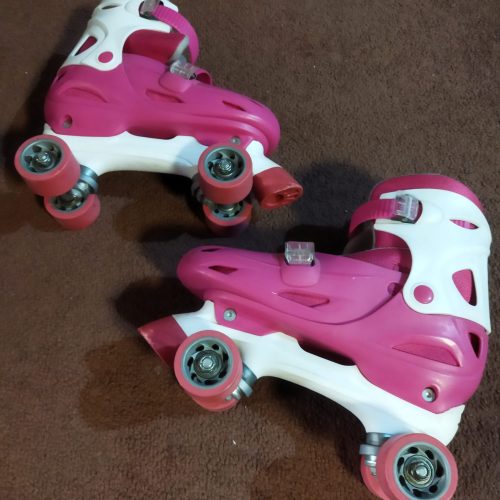 فروش کفش چرخ دار و لوازم جانبی آن