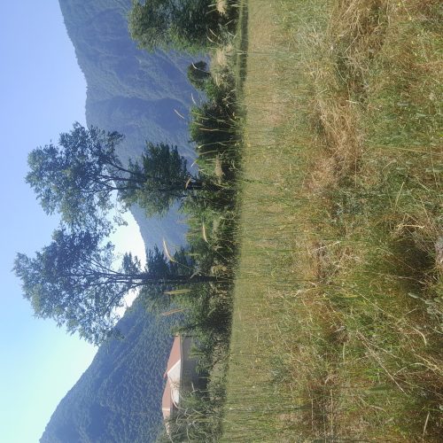 زمینی به متراژ 500 متر واقع در روستای تاریخی مریان به فروش میرسد