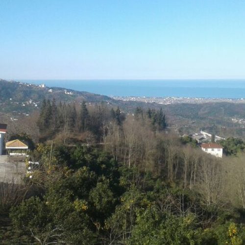 1100 متر زمین با کاربری مسکونی چشم انداز به کوه و دریا